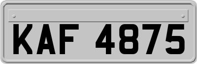 KAF4875