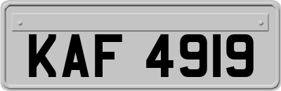 KAF4919