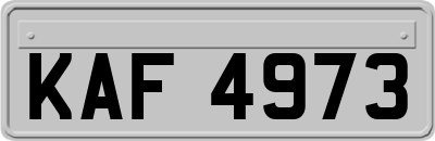 KAF4973