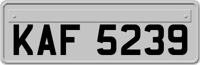 KAF5239