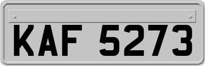 KAF5273