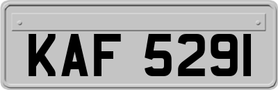 KAF5291