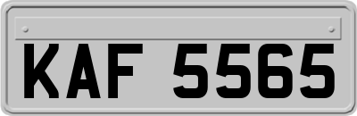 KAF5565