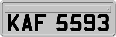 KAF5593