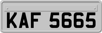 KAF5665