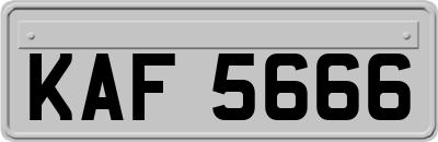 KAF5666