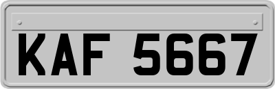KAF5667