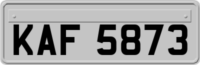 KAF5873