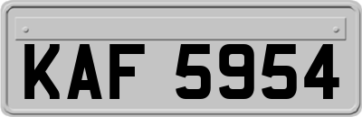 KAF5954