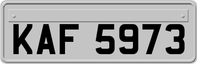 KAF5973