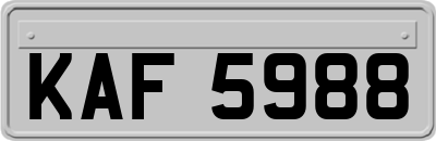 KAF5988