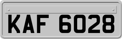 KAF6028