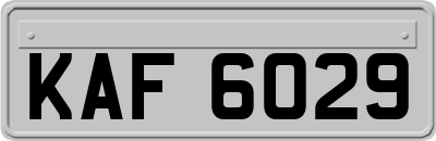 KAF6029