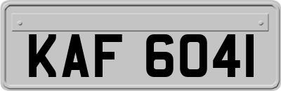 KAF6041