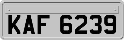 KAF6239