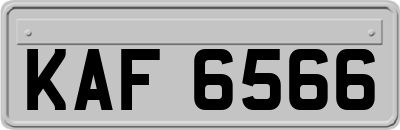KAF6566