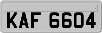 KAF6604