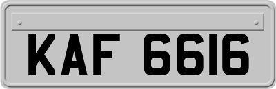KAF6616