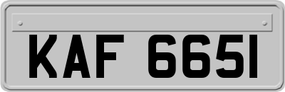 KAF6651