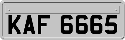 KAF6665