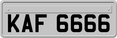 KAF6666