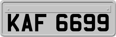 KAF6699