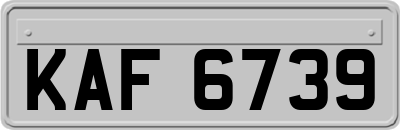 KAF6739
