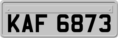 KAF6873