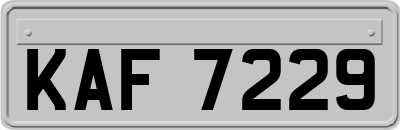 KAF7229