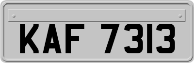 KAF7313