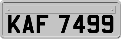 KAF7499