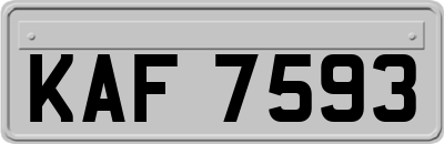 KAF7593