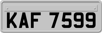 KAF7599