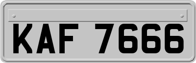 KAF7666