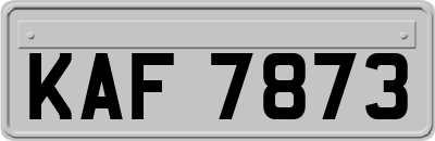 KAF7873