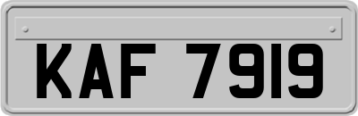 KAF7919
