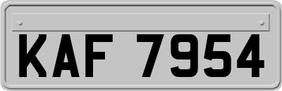 KAF7954