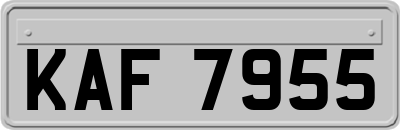 KAF7955
