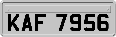 KAF7956