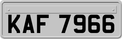 KAF7966