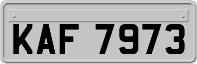 KAF7973