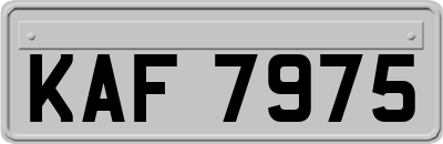 KAF7975
