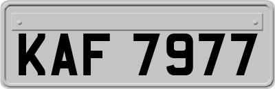 KAF7977