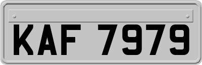 KAF7979