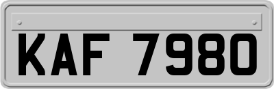 KAF7980