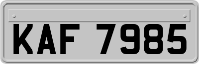 KAF7985