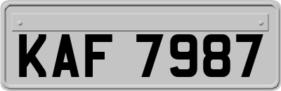 KAF7987