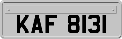 KAF8131