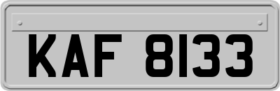 KAF8133