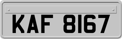 KAF8167